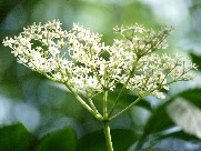 wp0af00202_0f.jpg