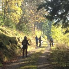 Wandeling bij Niedersfeld