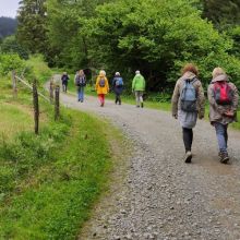 Wandeling Qi gong zomerweek