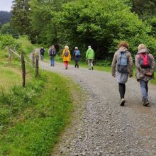 Wandeling Qi gong zomerweek