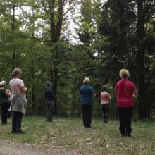 Qi Gong in het bos