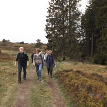 Wandeling Hochheide Niedersfeld