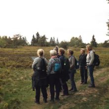 Wandeling Hochheide Niedersfeld