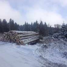 Sneeuwlandschap bij Savita