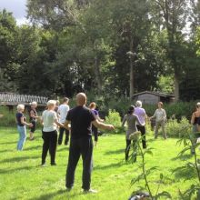 Qi Gong in het Beatrix park