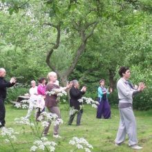 Gratis Qi Gong les bij camping de Grutto