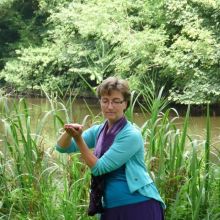 Qi Gong&Tai Chi Tao in het park