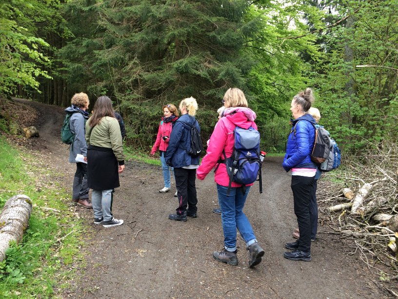 meditatieve-wandeling-niedersfeld